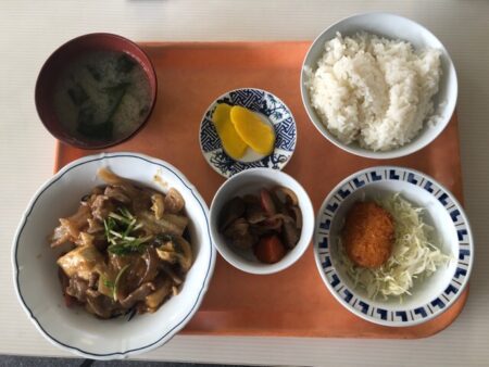 札幌市交通局豊水すすきの駅食堂_A定食；中華豆腐