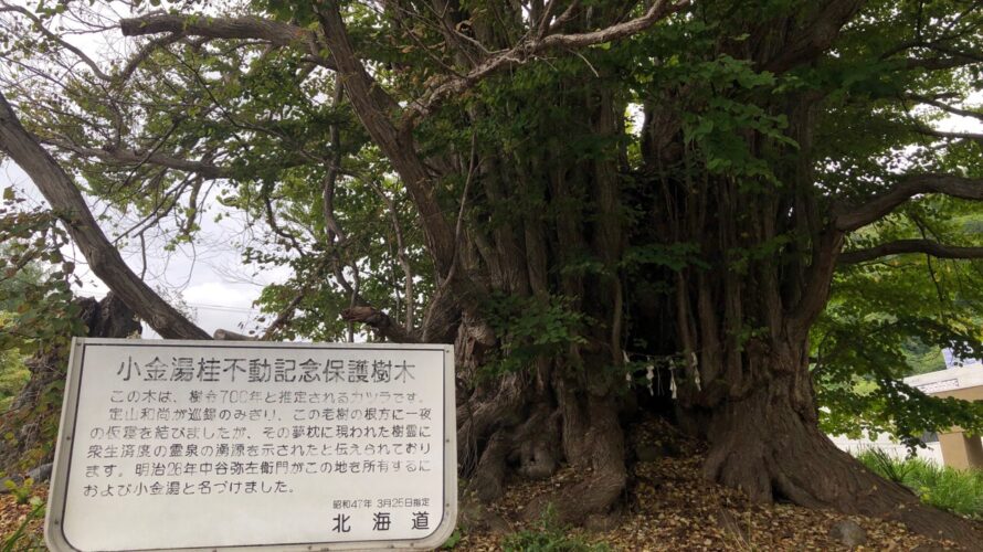 小金湯桂不動記念保護樹木