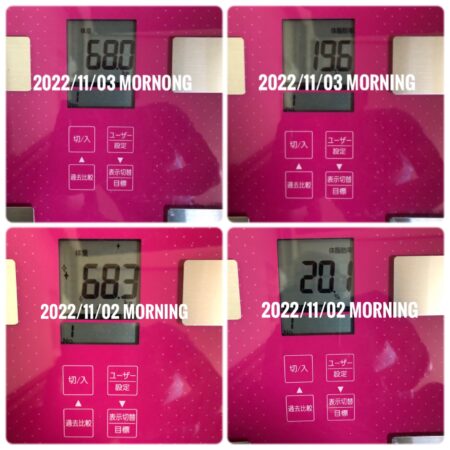 2022_11_03_体重比較