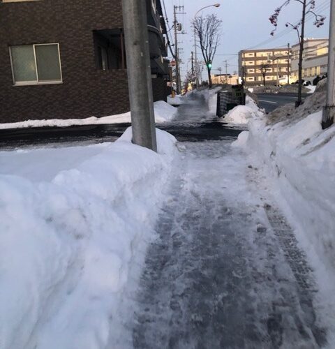 久々の冬道を５kmランニング 今日の札幌は昼間は３月並の気温 Ebi G S Challenge やっちゃえ えびg