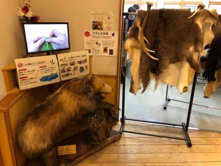 札幌市定山渓自然の村_管理センターのクマ