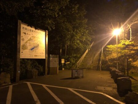 西岡公園_夜_駐車場からの入口
