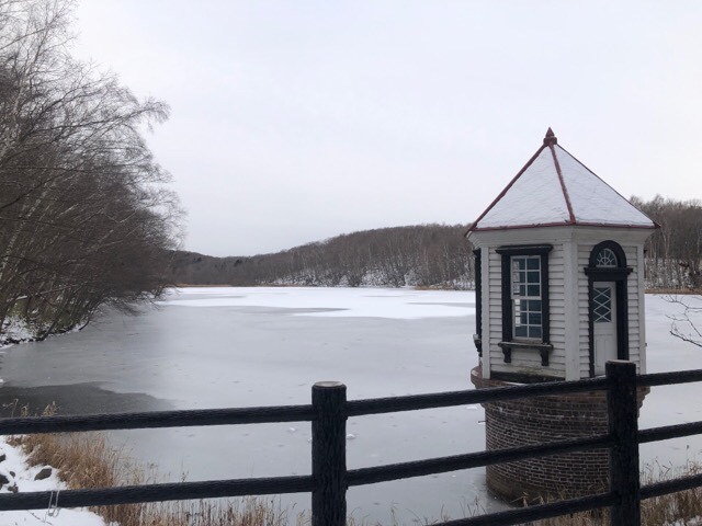 12月15日西岡公園の池も凍り始めてます