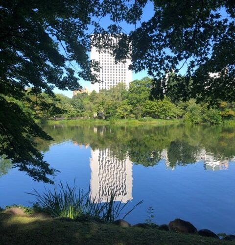 朝の中島公園_プレミアホテルサッポロを望む