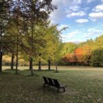 札幌在住ブロガーえびGブログ；今週末が最後！今年の紅葉！真駒内公園朝の散歩の風景