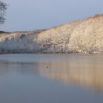 一夜明けて雪景色！西岡公園も雪景色！アカゲラさんは朝ご飯！2024年11月19日は初雪かき日？