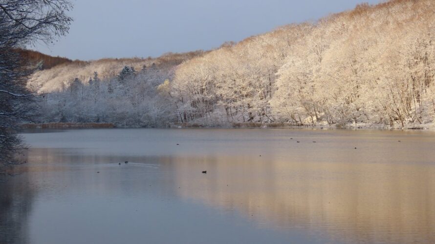 雪景色