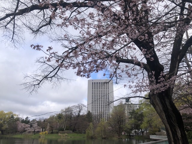 中島公園からプレミアホテル中島公園札幌
