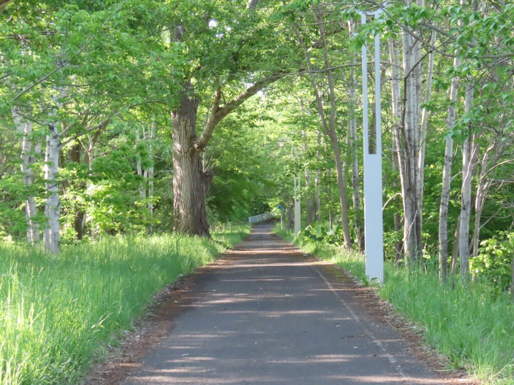 真駒内川に沿って