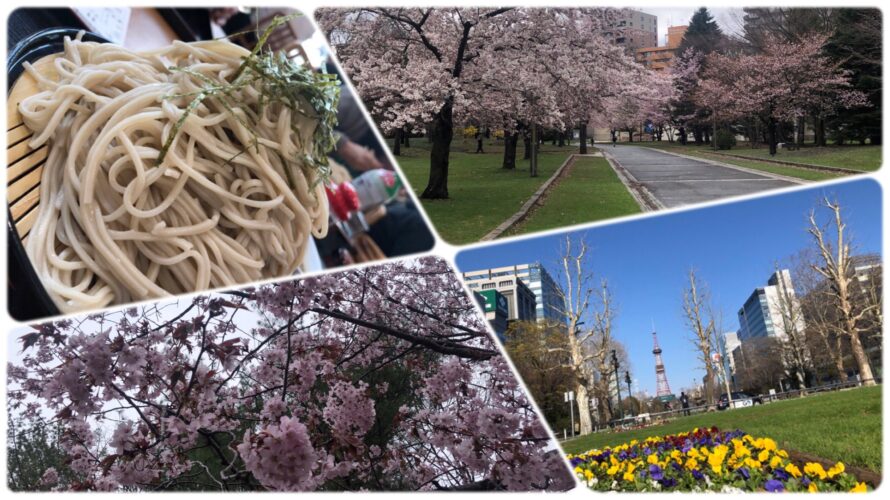 4月30日；今日の写真