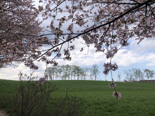 これも札幌の風景!豊平区月寒東の八紘学園の風景