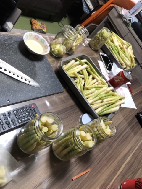 竹の子_瓶詰め