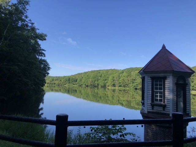 札幌 西岡公園｜四季折々の景色と野鳥観察のひととき