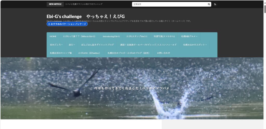 20250715_今までのホームページ