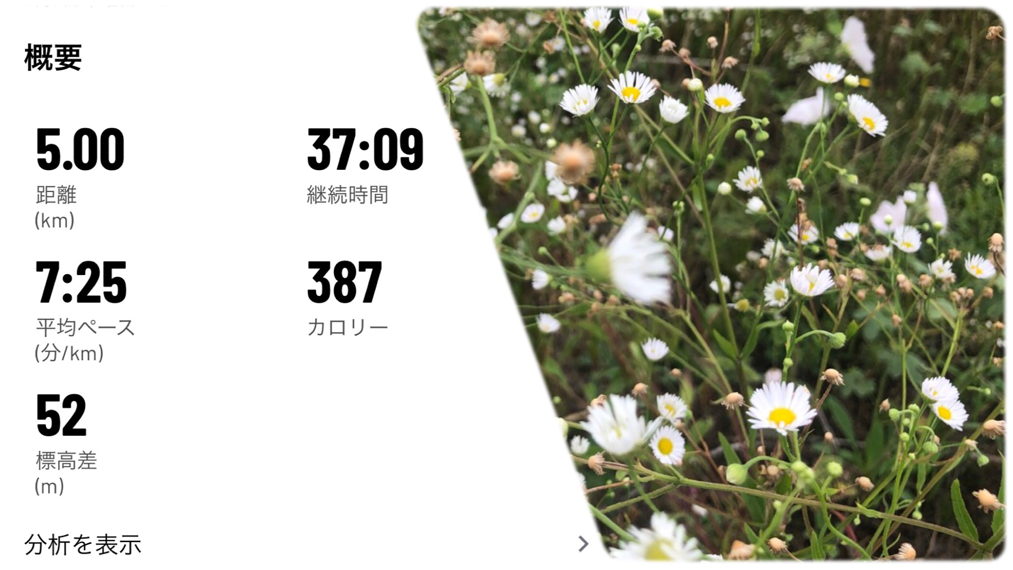 ランニングとお花