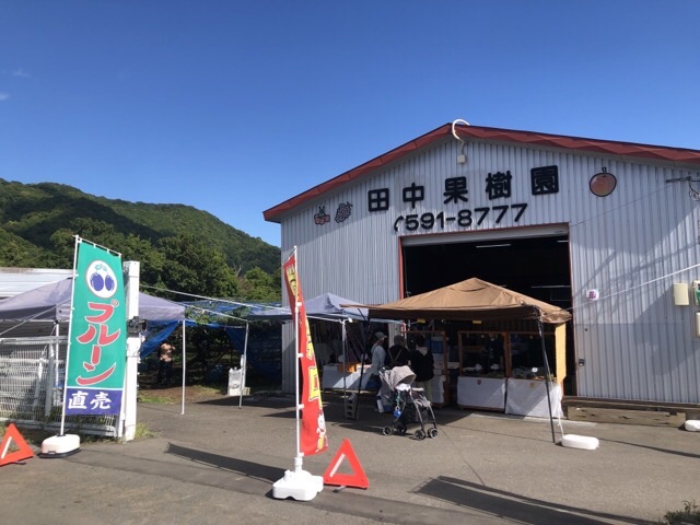 田中果樹園_正面