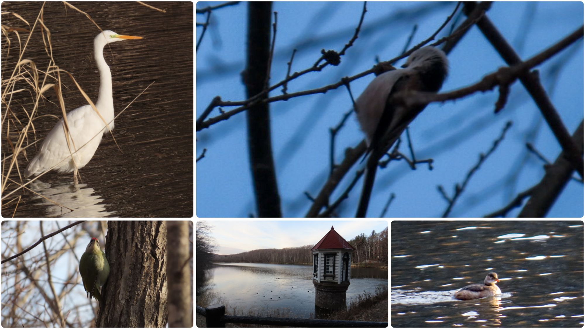 20251202_西岡公園