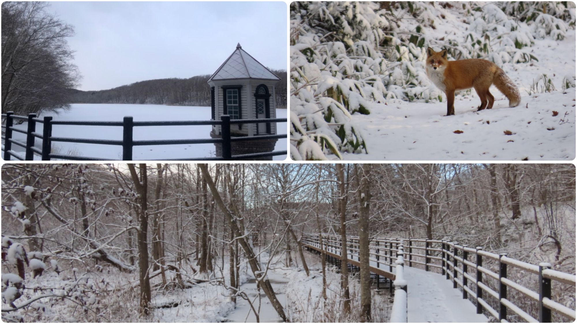 20251204_西岡公園