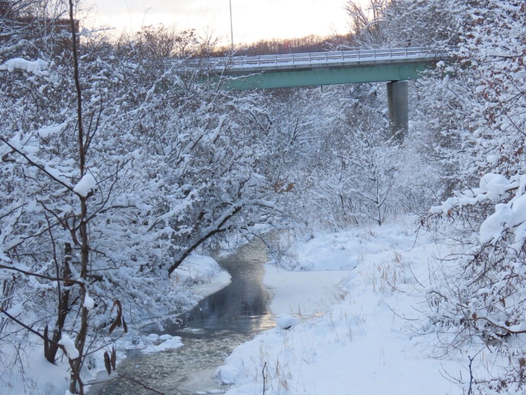 真駒内公園で緑橋からの風景