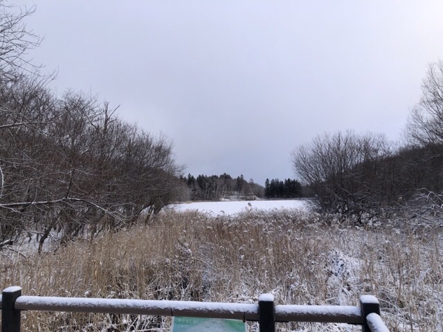 見晴台からの風景