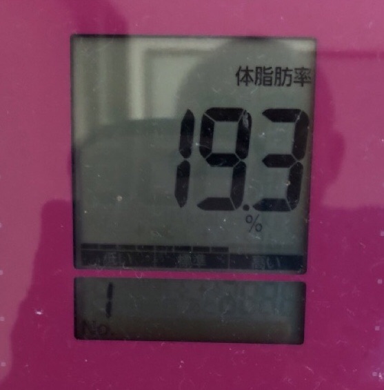 今朝の体重測定_体脂肪率