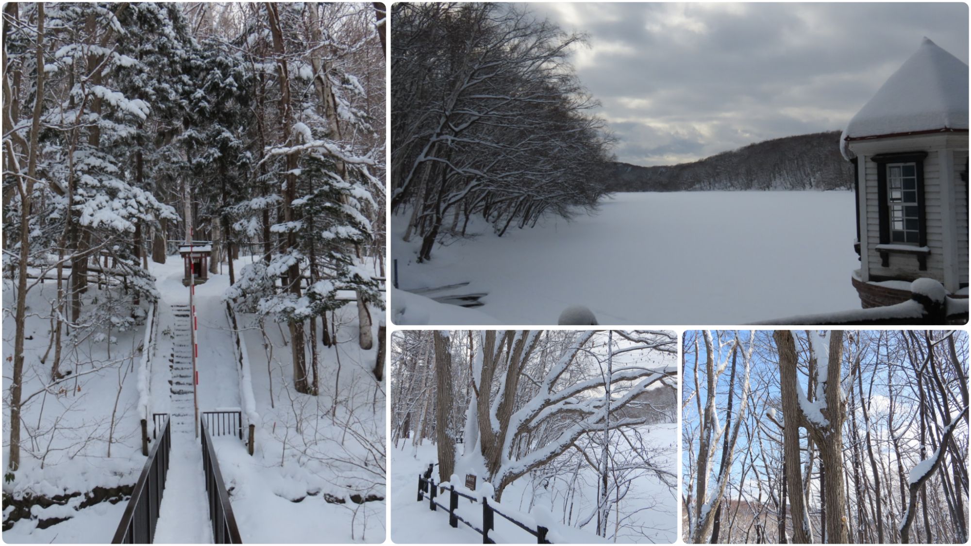 西岡公園の不動明王、取水塔、長寿の木、なかよしの木