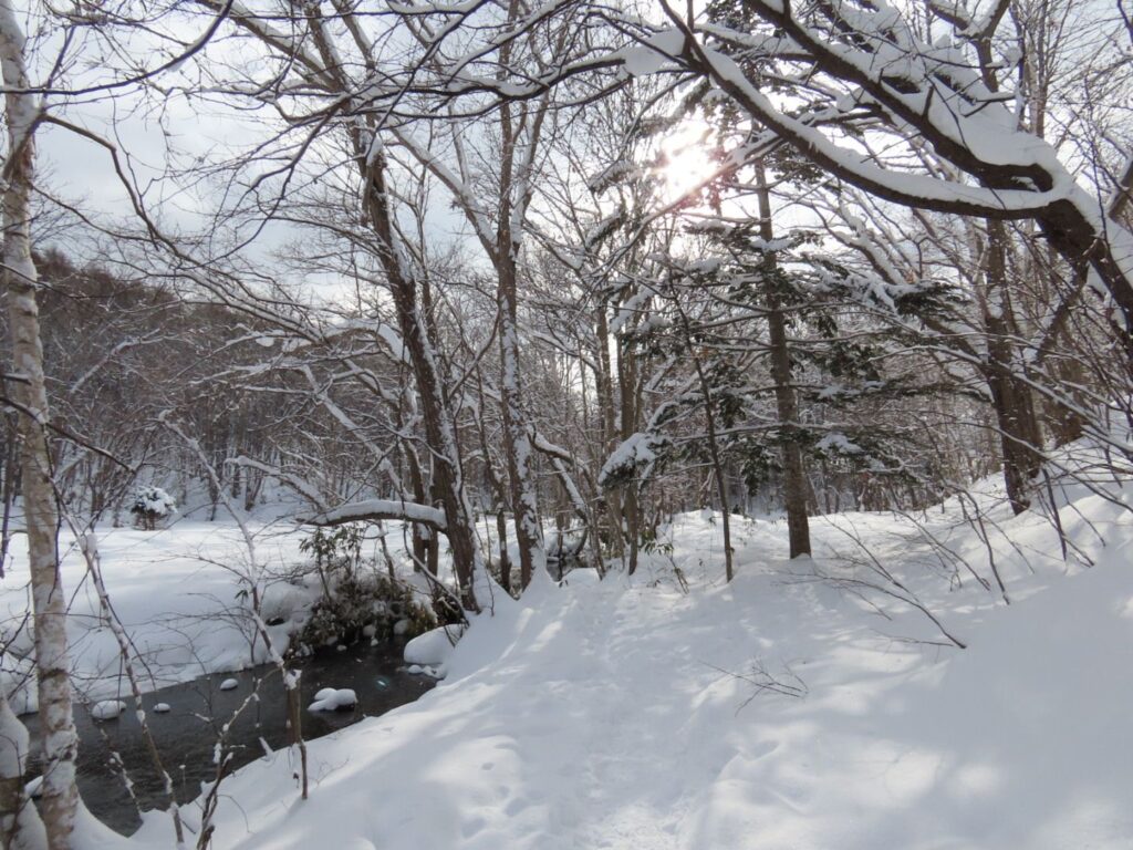 西岡公園の月寒川に沿って駐車場側入り口から八ツ橋に向かう風景