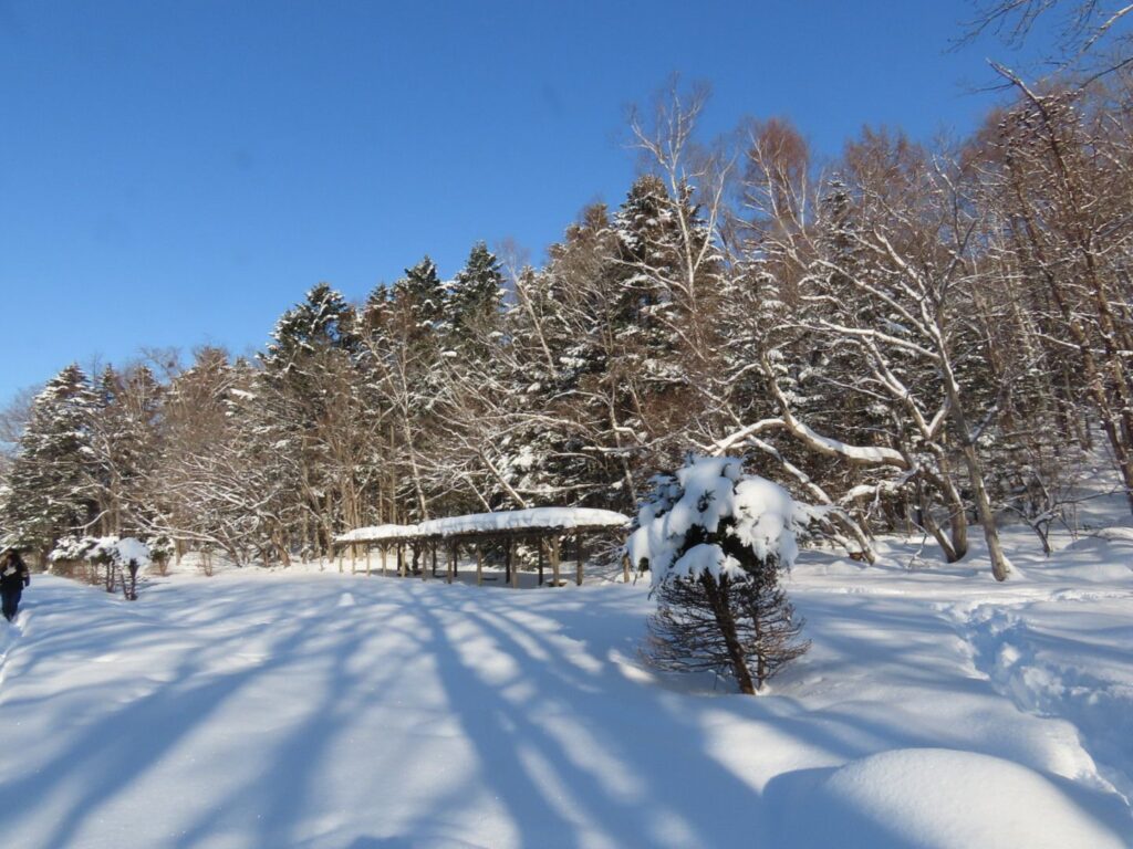 西岡公園の白く雪に埋もれるパーゴラ広場