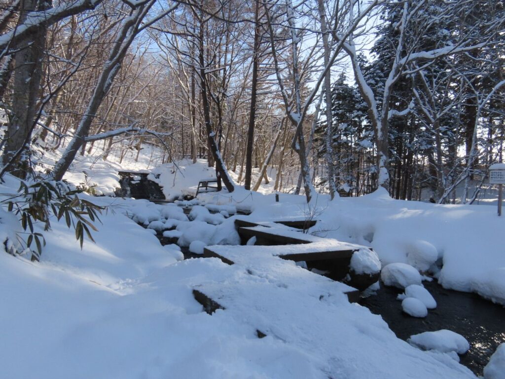 西岡公園の八つ橋を渡り切ったところ