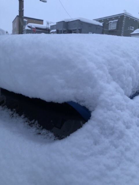 雪山のように車に雪がすっぽり積もった雪