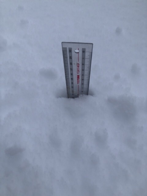 玄関先で雪の中に定規を指して積雪を測る