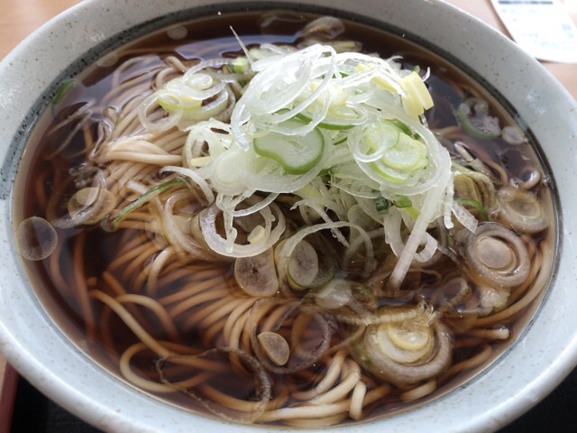 北海道議会 食堂のネギが一杯のったかけそばのアップ