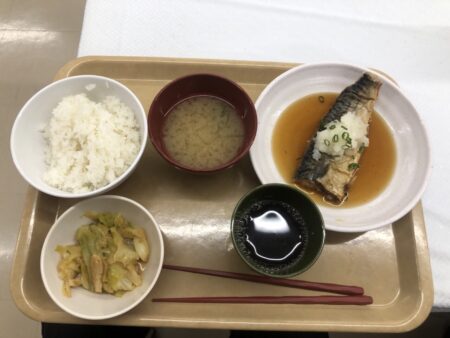 道庁地下食堂のB定食のご飯とサバ煮とおみそ汁と小鉢料理