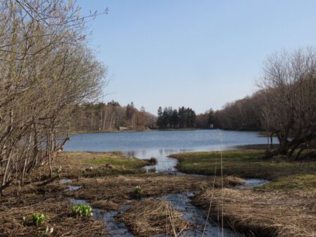 西岡公園の見晴台からの景色