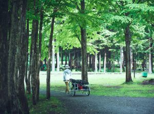 札幌市定山渓自然の村のテントサイト