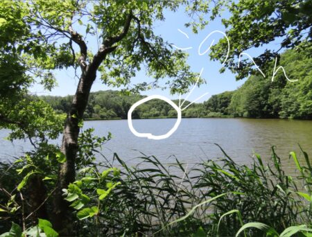 西岡公園でズームなしで貯水池の向こうまで写真