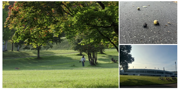 夏の終わり秋前の真駒内公園の風景