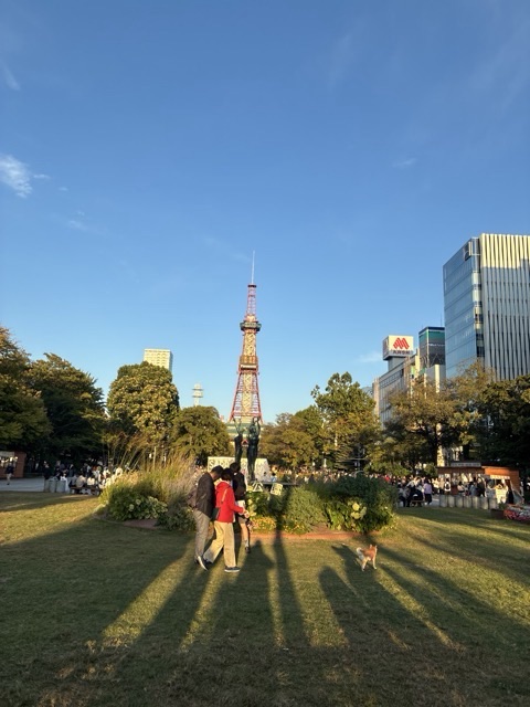 大通公園からテレビ塔を見る