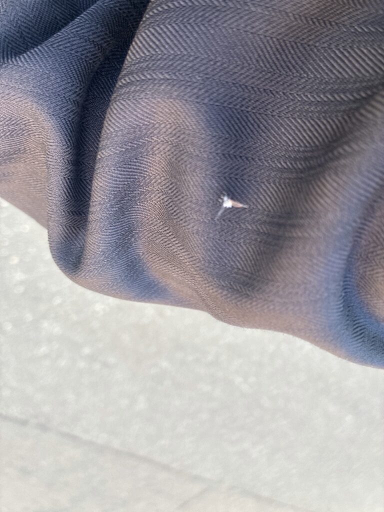 会社帰りに腕に止まった雪虫